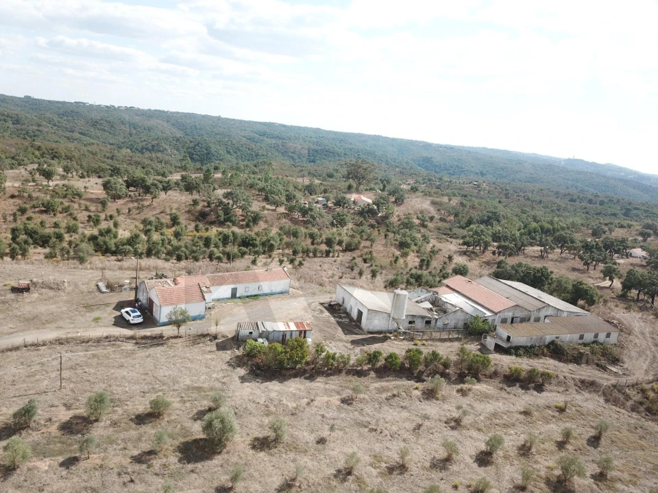 Terreno para Venda em Santiago do Cacém, Santa Cruz e São Bartolomeu da Serra Foto 1
