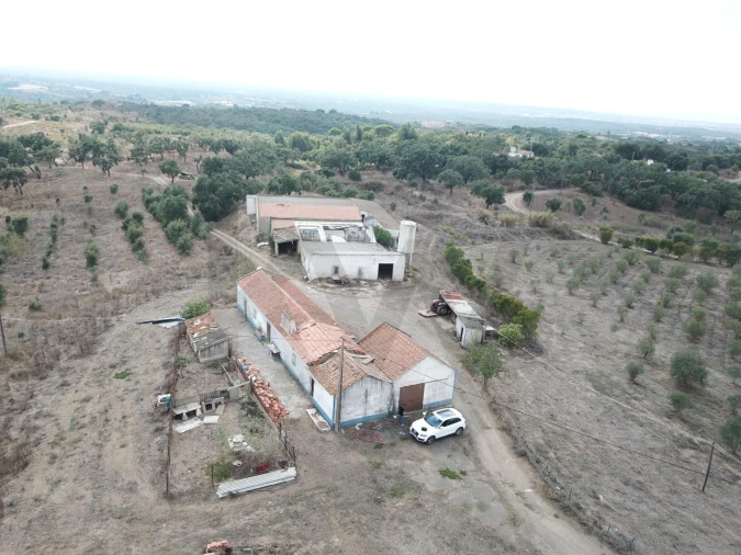 Terreno para Venda em Santiago do Cacém, Santa Cruz e São Bartolomeu da Serra Foto 13