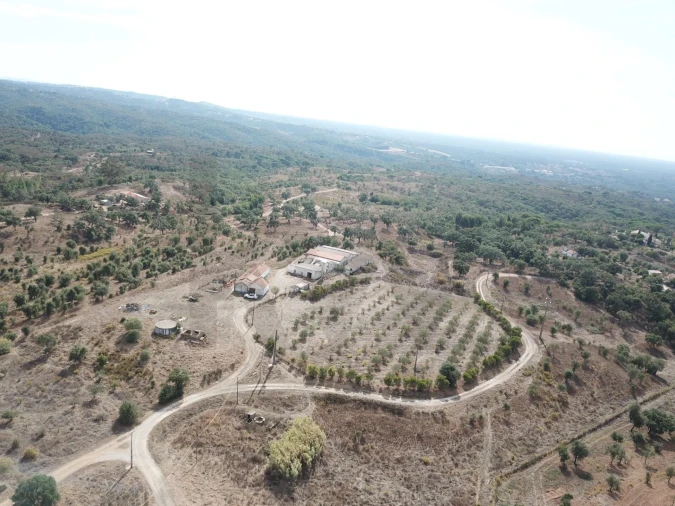 Terreno para Venda em Santiago do Cacém, Santa Cruz e São Bartolomeu da Serra Foto 9
