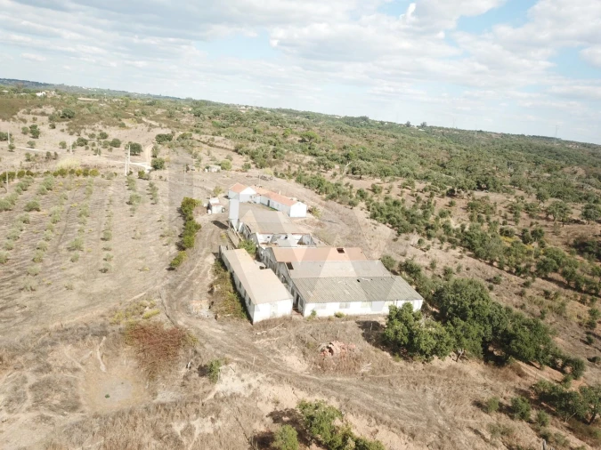 Terreno para Venda em Santiago do Cacém, Santa Cruz e São Bartolomeu da Serra Foto 3
