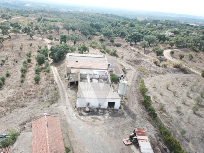 Terreno para Venda em Santiago do Cacém, Santa Cruz e São Bartolomeu da Serra Foto 11