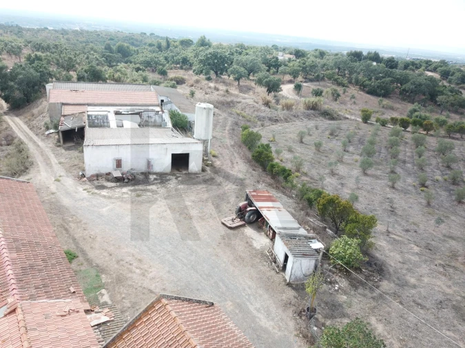 Terreno para Venda em Santiago do Cacém, Santa Cruz e São Bartolomeu da Serra Foto 12