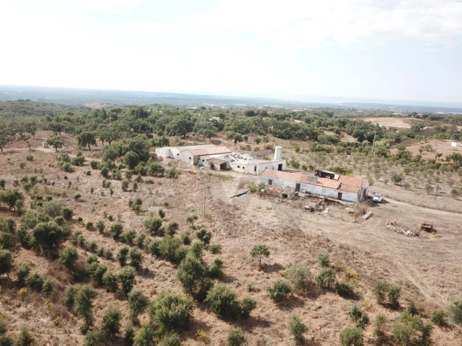 Terreno para Venda em Santiago do Cacém, Santa Cruz e São Bartolomeu da Serra Foto 6
