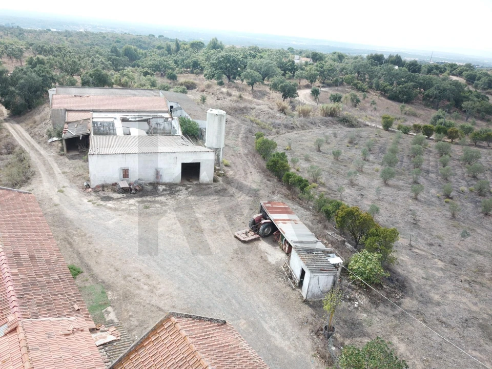 Terreno para Venda em Santiago do Cacém, Santa Cruz e São Bartolomeu da Serra Foto 12