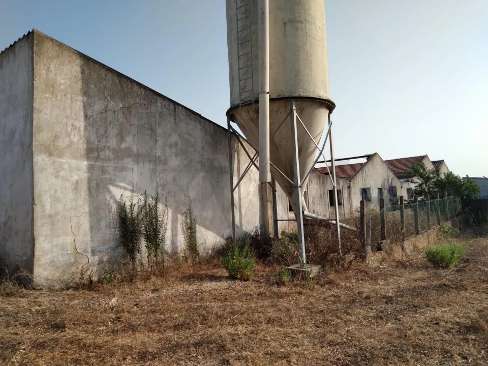 Terreno para Venda em Santiago do Cacém, Santa Cruz e São Bartolomeu da Serra Foto 18