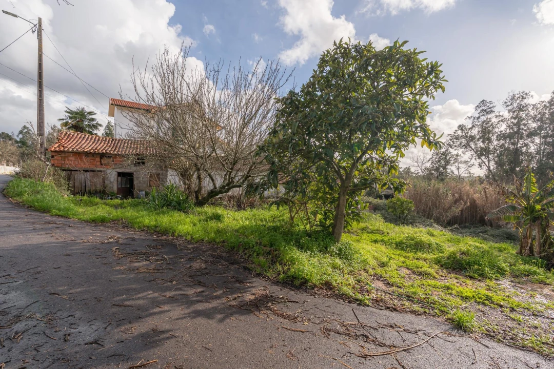 Moradia T1 para Venda em Taveiro, Ameal e Arzila Foto 11