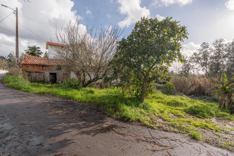 Moradia T1 para Venda em Taveiro, Ameal e Arzila Foto 11