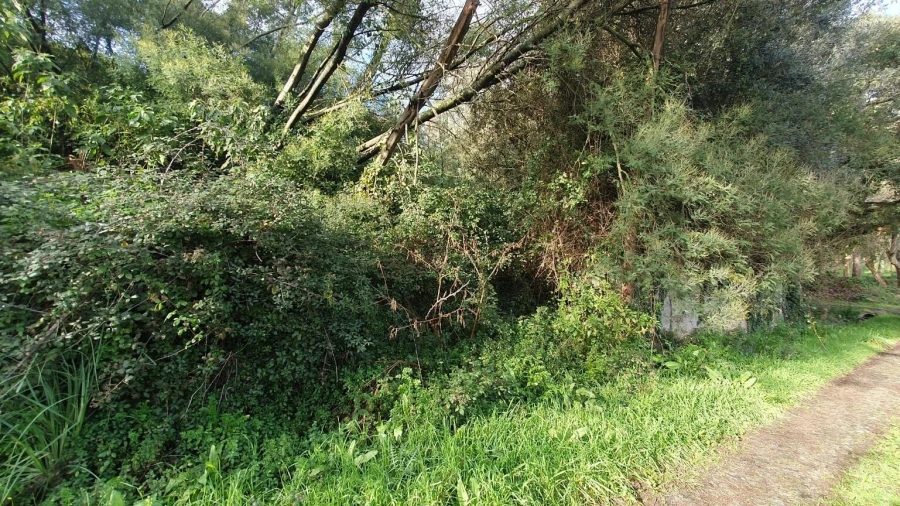 Terreno para Venda em Perafita, Lavra e Santa Cruz do Bispo Foto 4