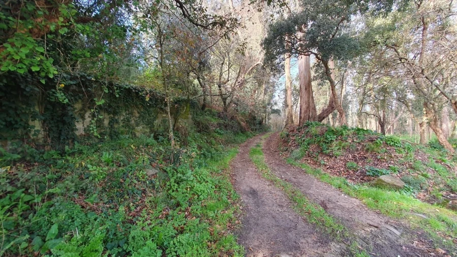 Terreno para Venda em Perafita, Lavra e Santa Cruz do Bispo Foto 5