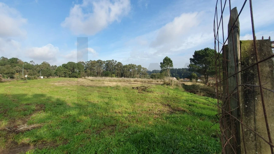 Terreno para Venda em Perafita, Lavra e Santa Cruz do Bispo Foto 3