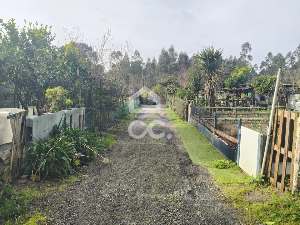 Terreno para Venda em Valongo Foto 5