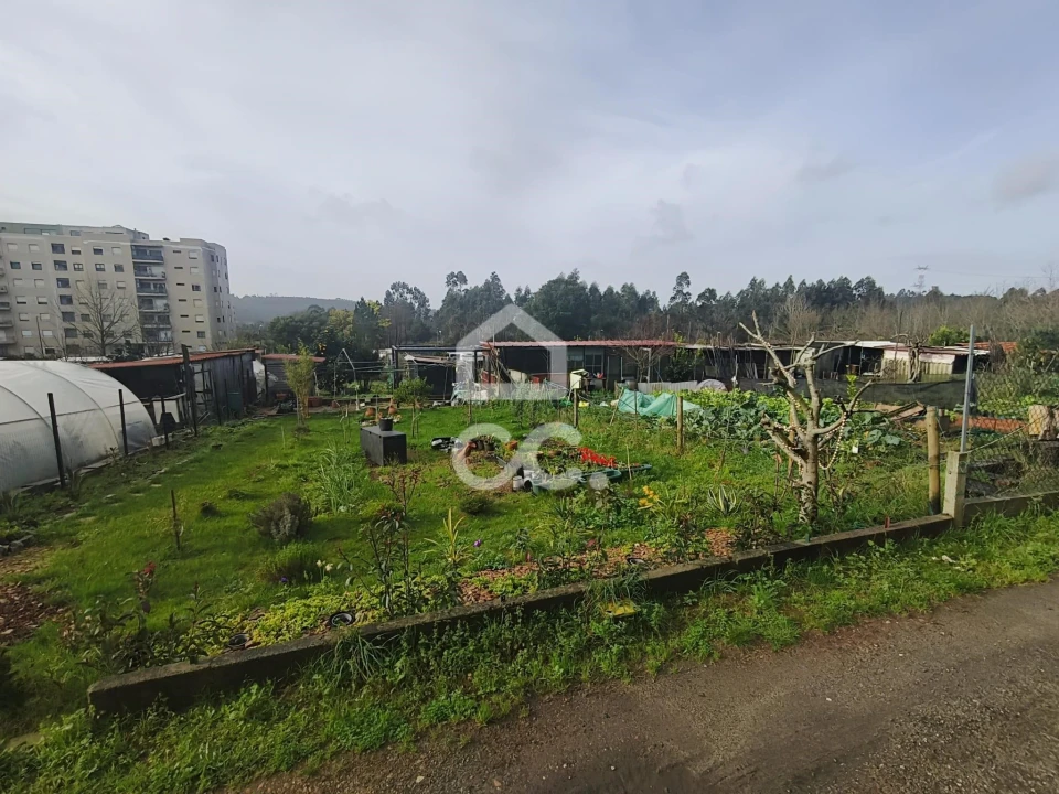 Terreno para Venda em Valongo Foto 7