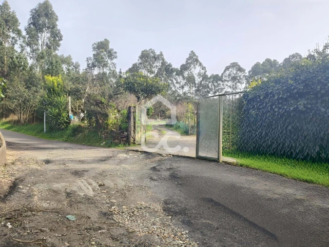 Terreno para Venda em Valongo Foto 4