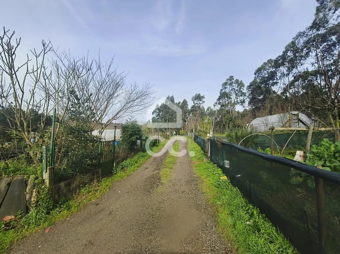 Terreno para Venda em Valongo Foto 6