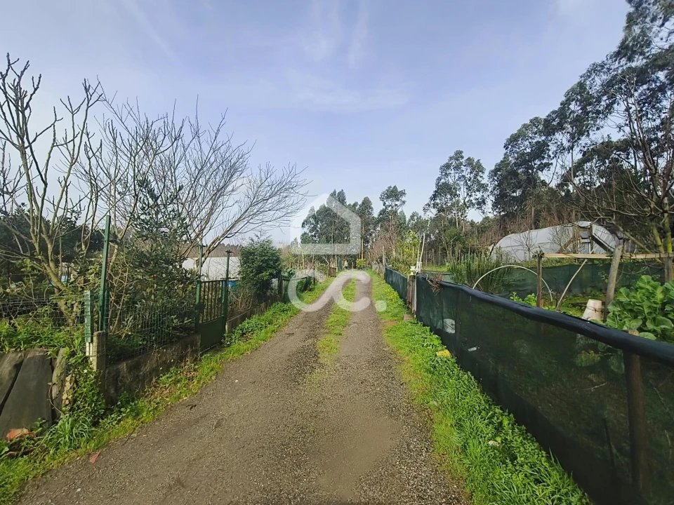 Terreno para Venda em Valongo Foto 6