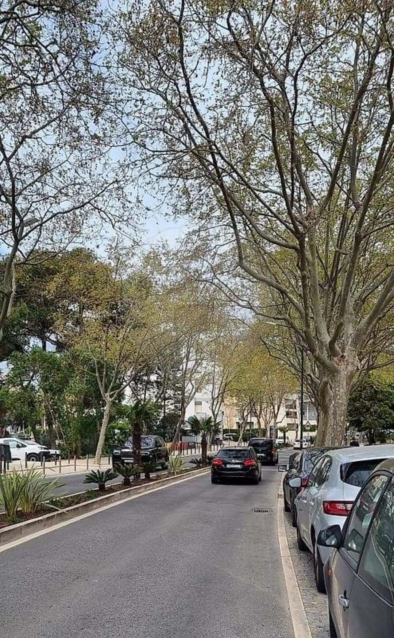 Negócio para Arrendamento férias em Cascais e Estoril Foto 20