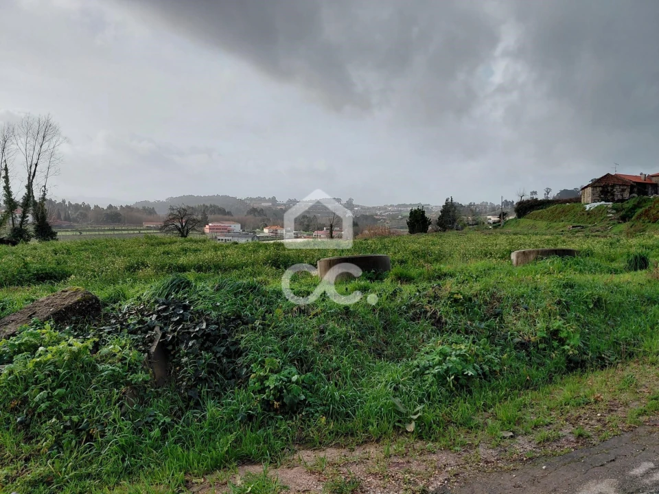 Terreno para Venda em Silvares, Pias, Nogueira e Alvarenga Foto 5