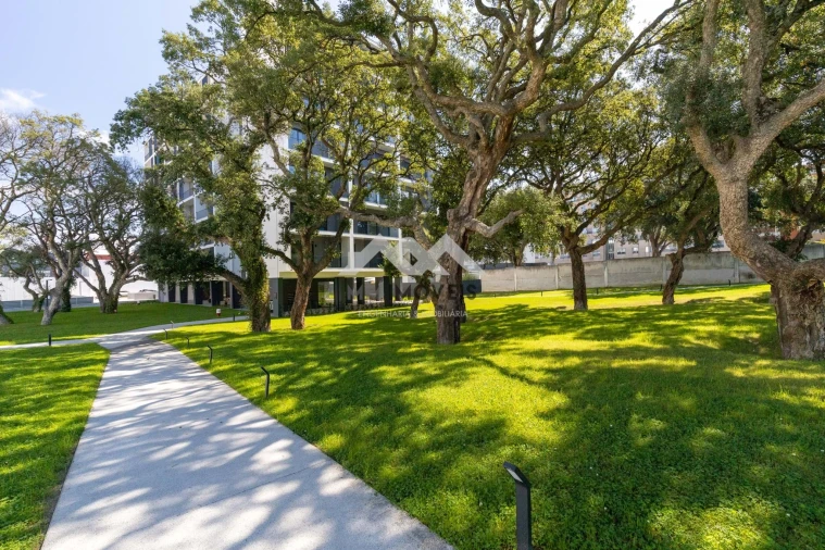 Apartamento T1 para Arrendamento em Paranhos Foto 34