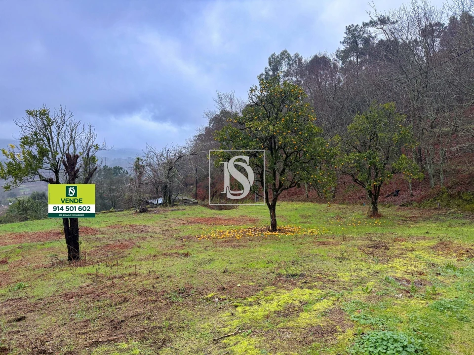 Terreno para Venda em Esqueiros, Nevogilde e Travassós Foto 4