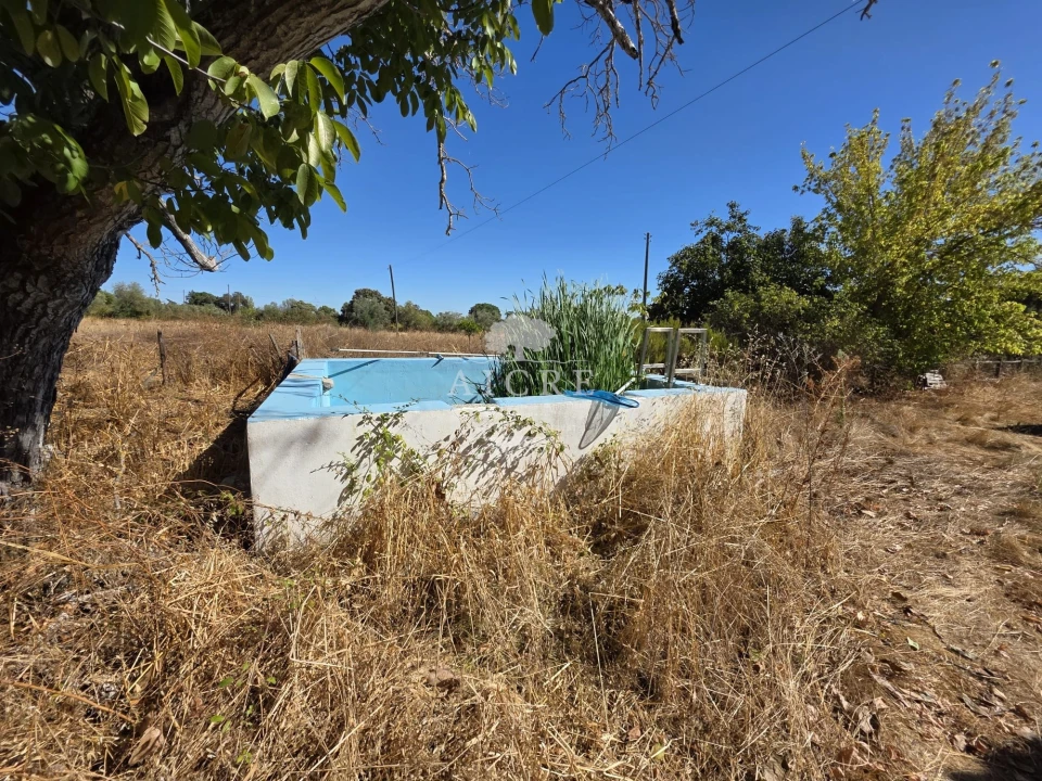Quinta T3 para Venda em Évora (São Mamede, Sé, São Pedro e Santo Antão) Foto 2