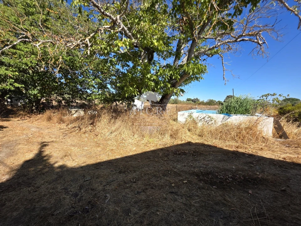 Quinta T3 para Venda em Évora (São Mamede, Sé, São Pedro e Santo Antão) Foto 5