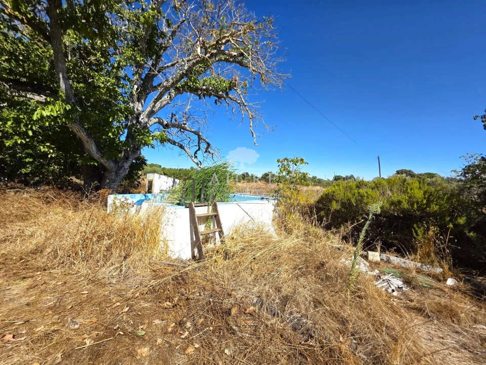 Quinta T3 para Venda em Évora (São Mamede, Sé, São Pedro e Santo Antão) Foto 33