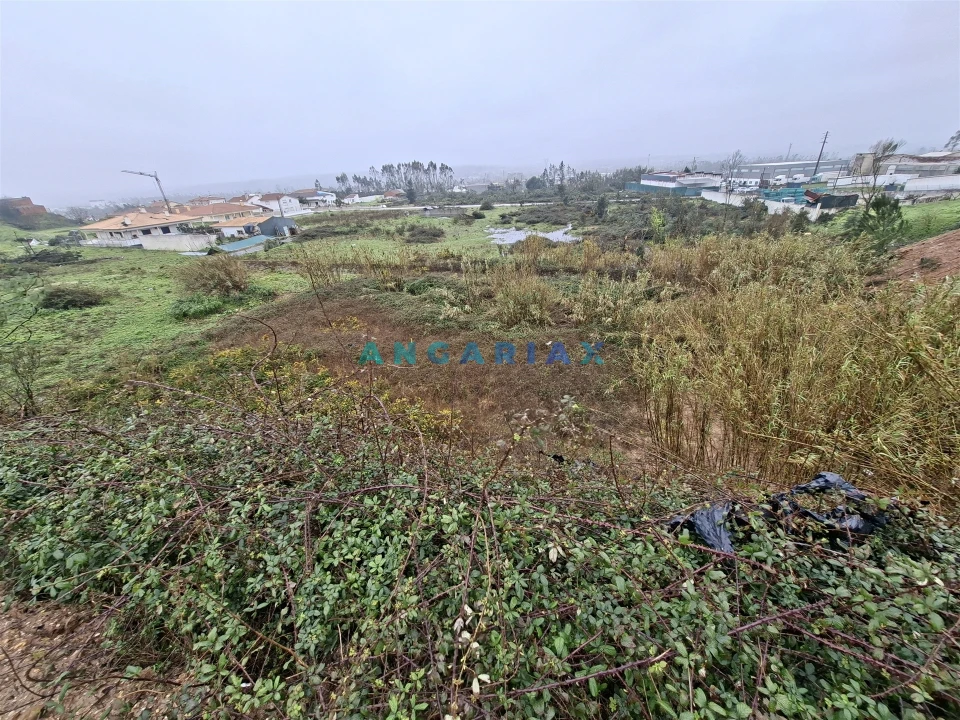 Terreno para Venda em Regueira de Pontes Foto 5