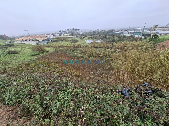 Terreno para Venda em Regueira de Pontes Foto 5