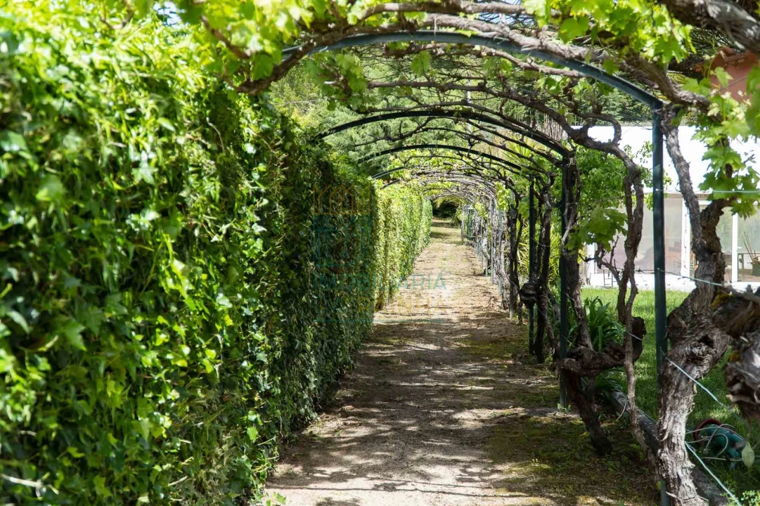 Quinta T8 para Venda em Lamas Foto 8