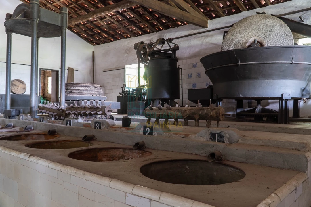 Quinta T8 para Venda em Lamas Foto 11