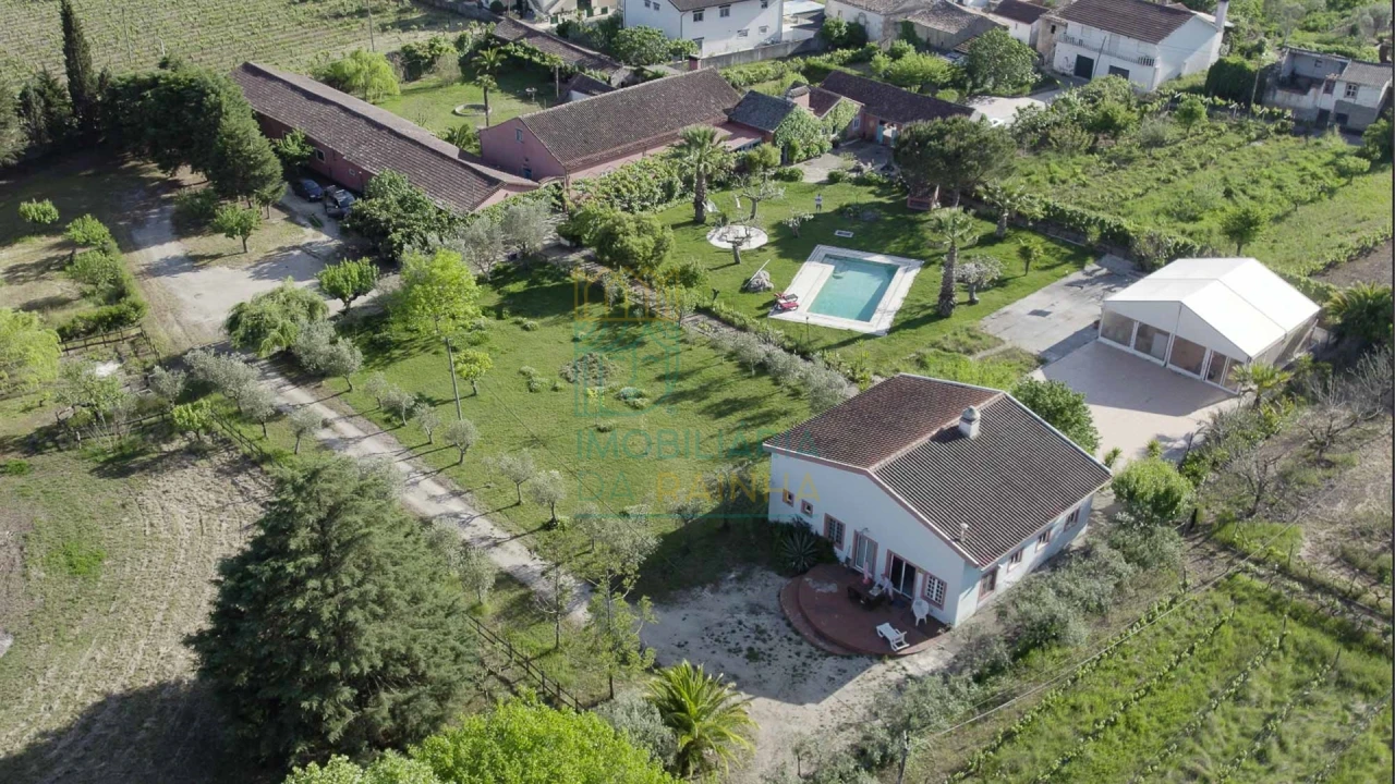 Quinta T8 para Venda em Lamas Foto 15