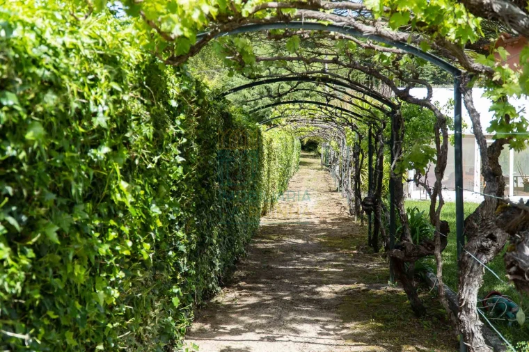 Quinta T8 para Venda em Lamas Foto 8