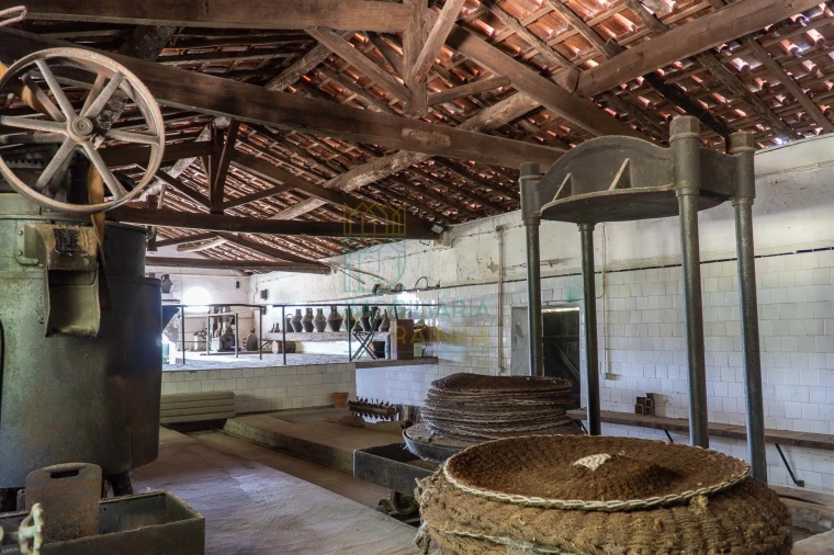 Quinta T8 para Venda em Lamas Foto 42