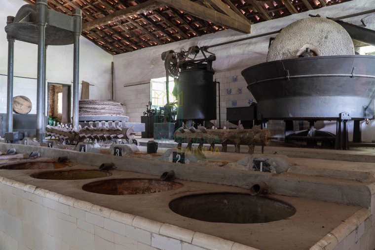 Quinta T8 para Venda em Lamas Foto 11