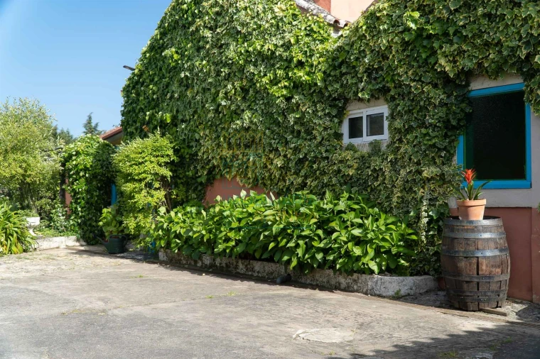 Quinta T8 para Venda em Lamas Foto 7