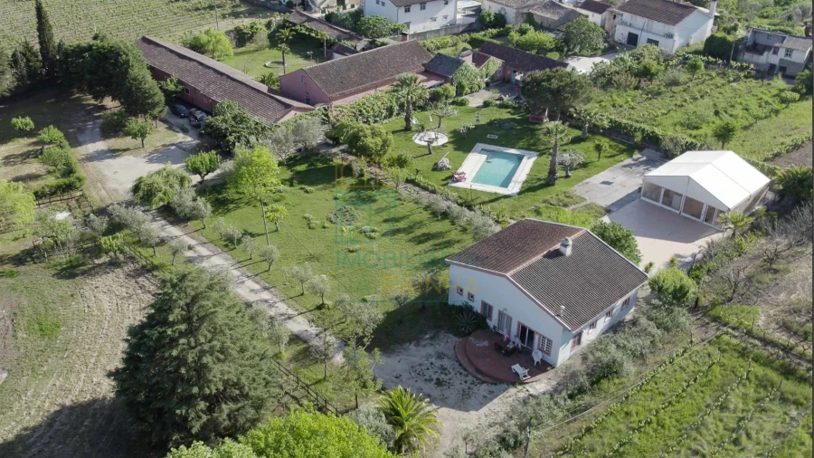 Quinta T8 para Venda em Lamas Foto 15