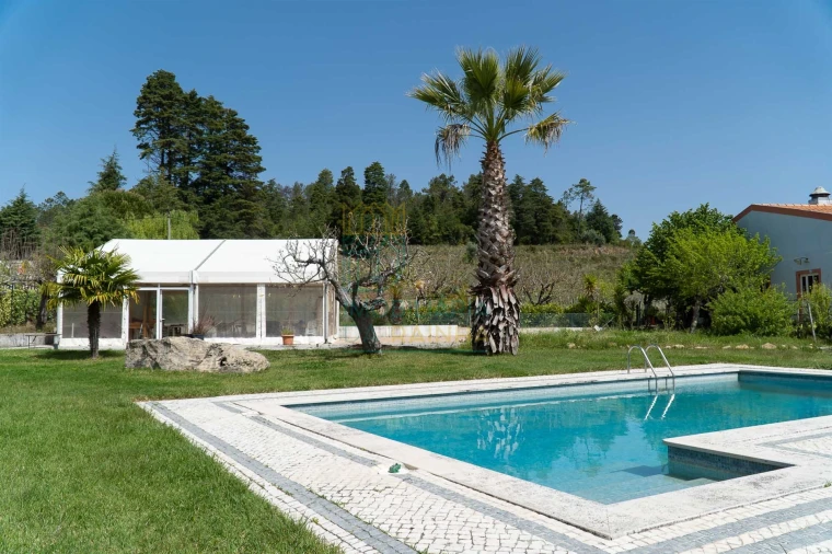 Quinta T8 para Venda em Lamas Foto 3