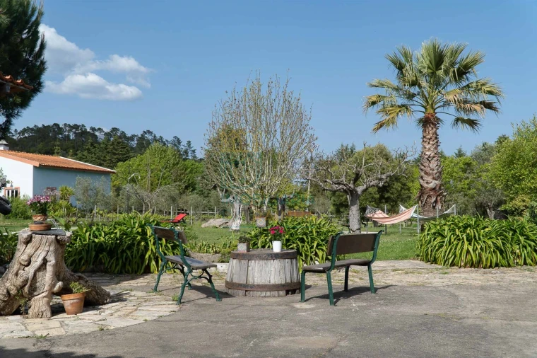 Quinta T8 para Venda em Lamas Foto 49