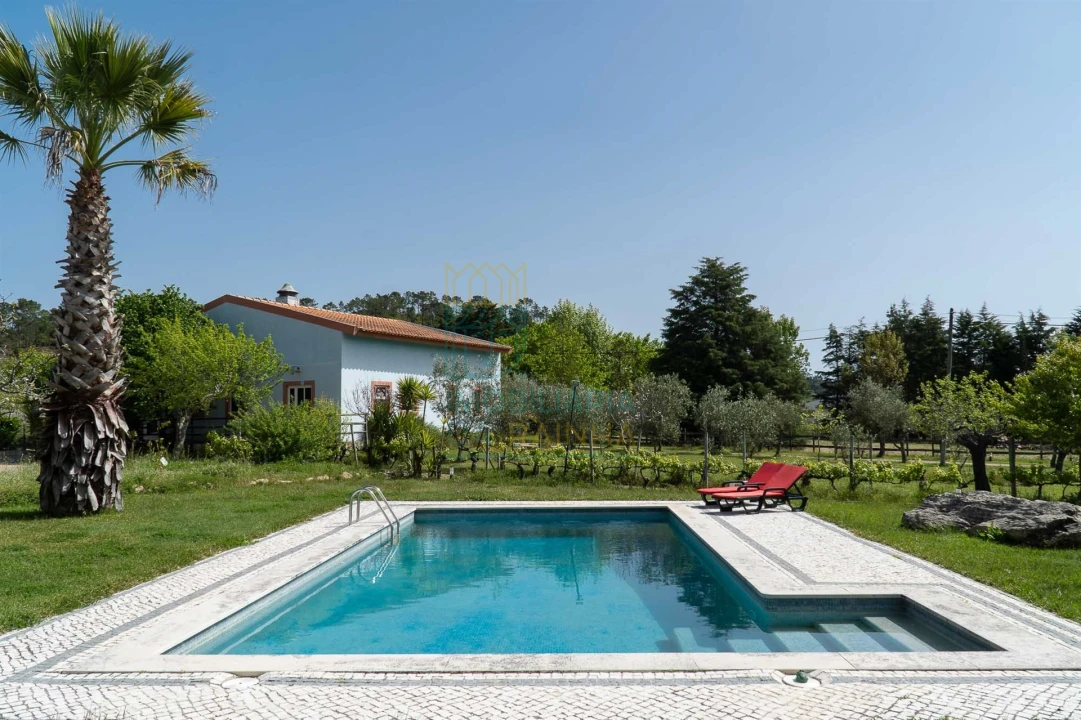 Quinta T8 para Venda em Lamas Foto 31