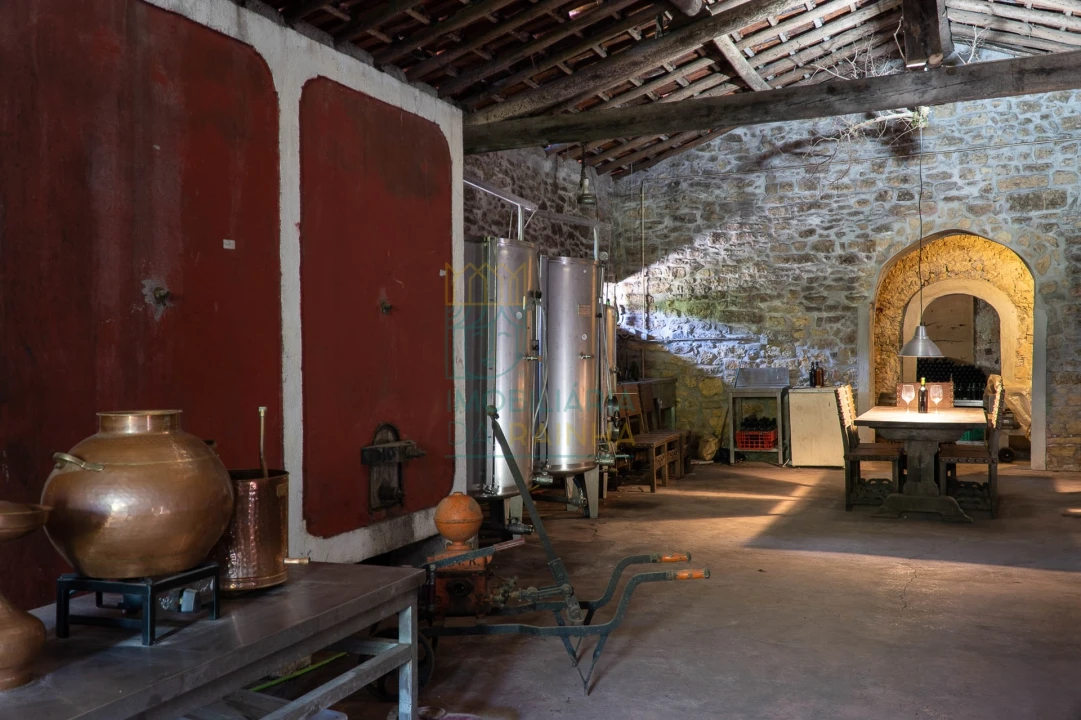 Quinta T8 para Venda em Lamas Foto 12