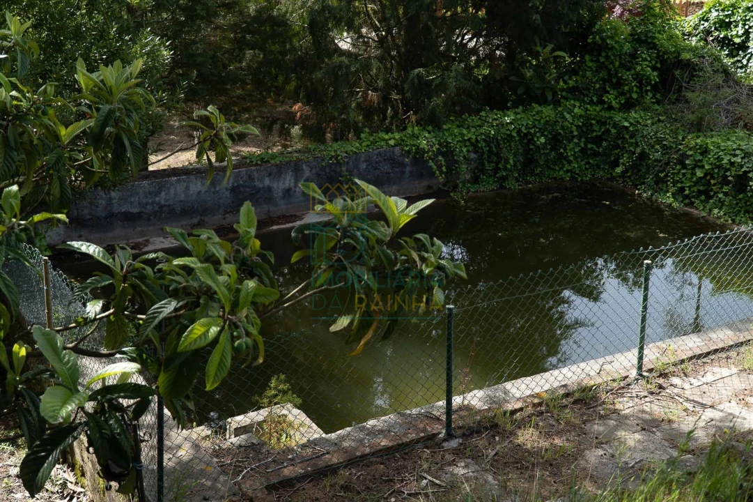 Quinta T8 para Venda em Lamas Foto 50