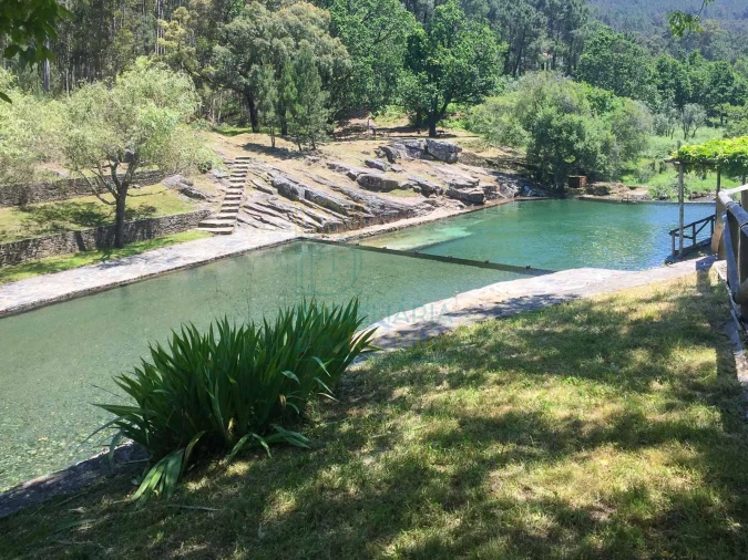 Negócio para Venda em Castanheira de Pêra e Coentral Foto 21