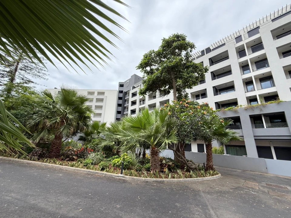 Apartamento T2 para Venda em São Martinho Foto 1