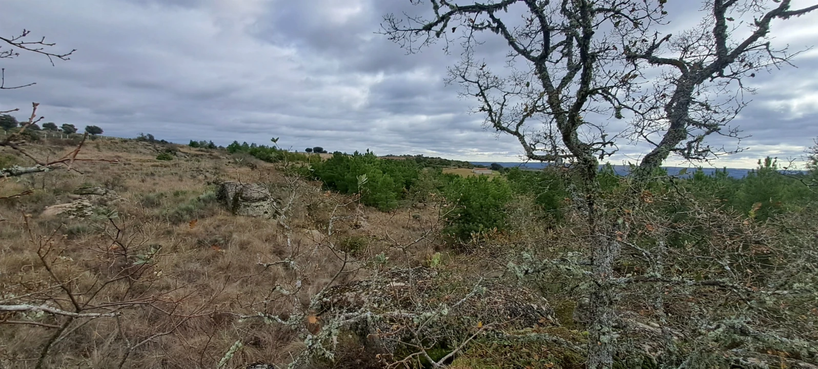 Terreno Agricola ou Rústico para Venda em Sendim e Atenor Foto 7