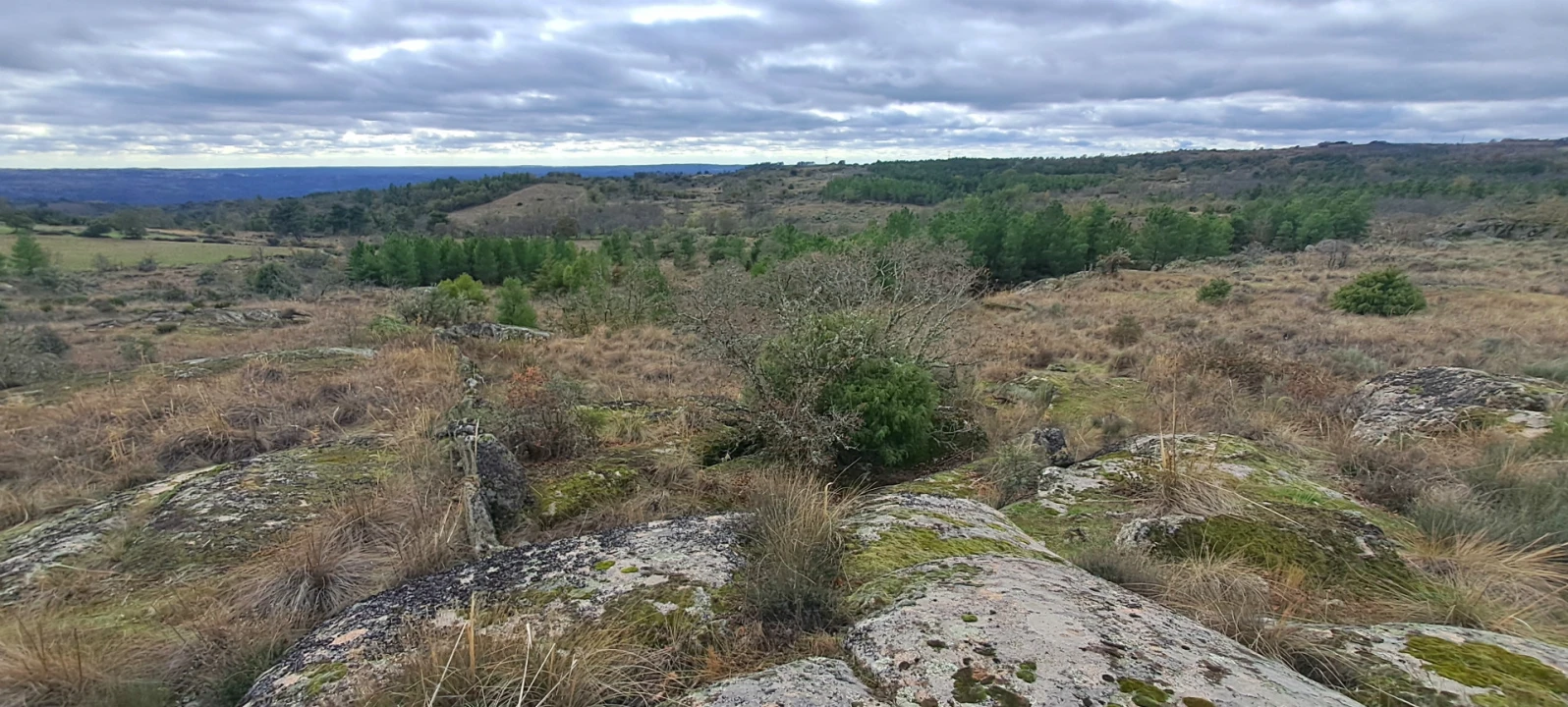 Terreno Agricola ou Rústico para Venda em Sendim e Atenor Foto 12
