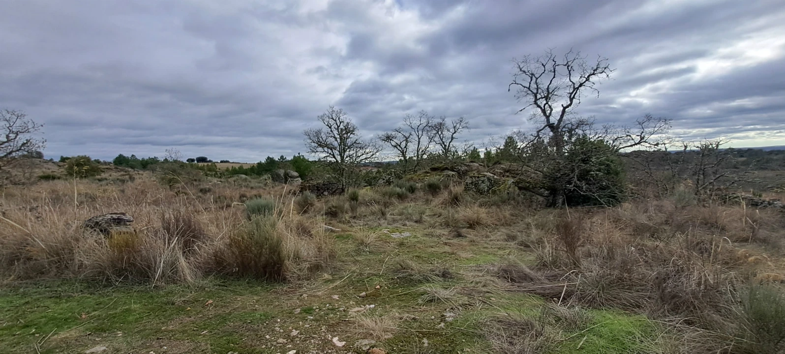 Terreno Agricola ou Rústico para Venda em Sendim e Atenor Foto 9