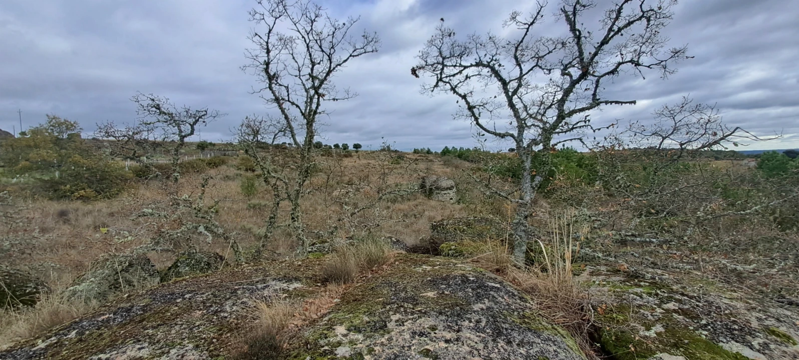 Terreno Agricola ou Rústico para Venda em Sendim e Atenor Foto 5