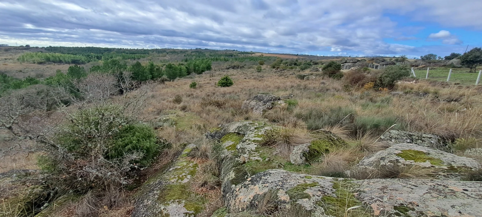 Terreno Agricola ou Rústico para Venda em Sendim e Atenor Foto 3