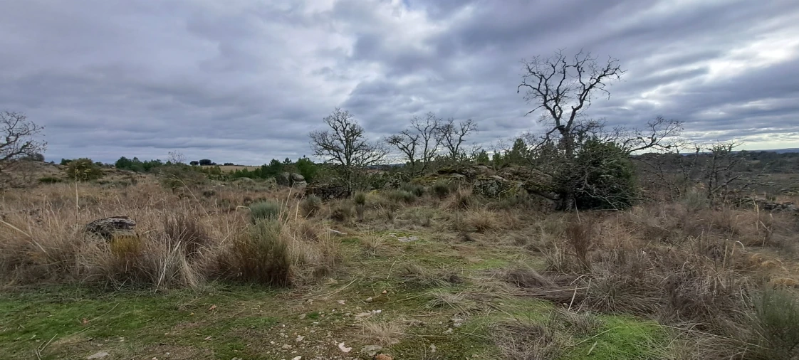 Terreno Agricola ou Rústico para Venda em Sendim e Atenor Foto 9
