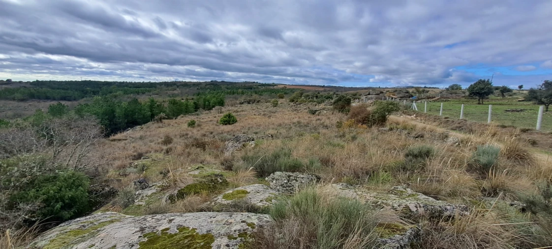 Terreno Agricola ou Rústico para Venda em Sendim e Atenor Foto 11